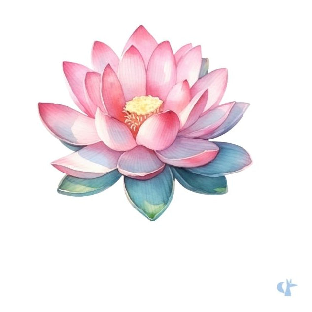 illustrazione-botanica-fiore-di-loto