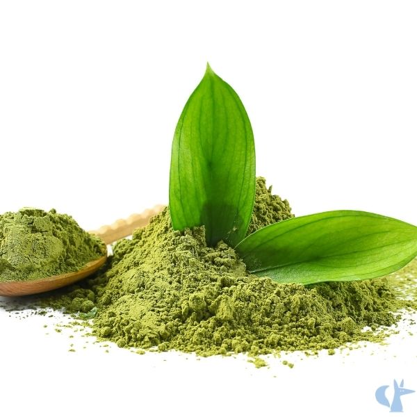te-verde-macha